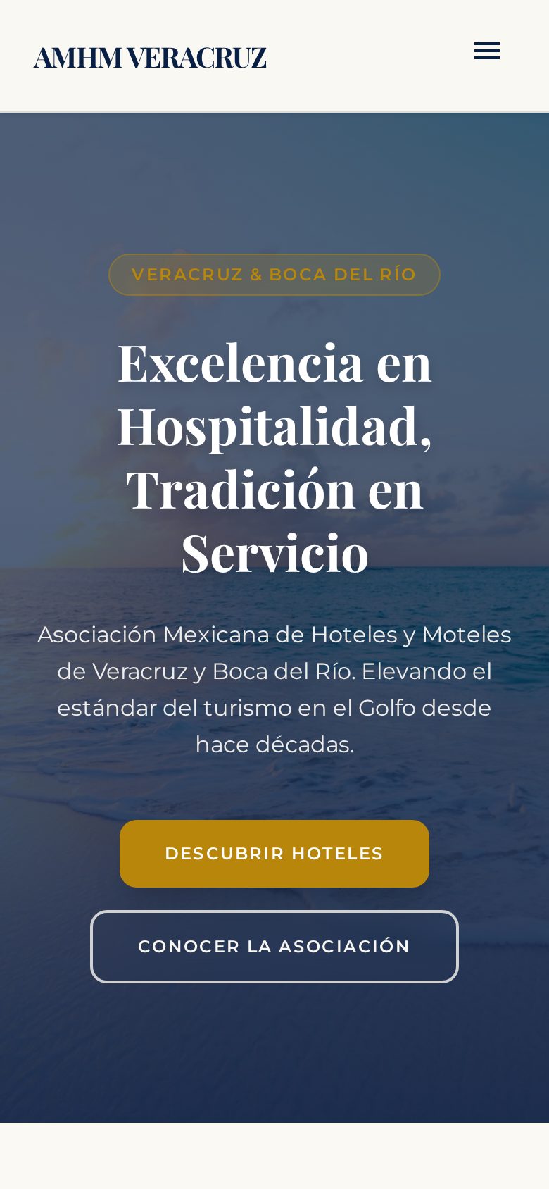 Sitio web de Asociación VerBoca en celular